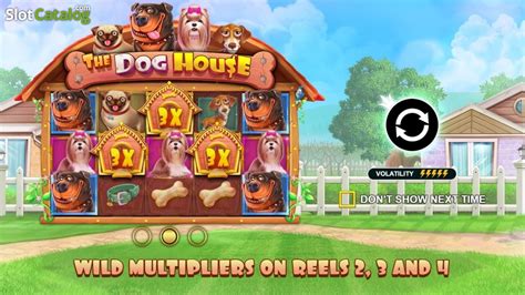 dog house slot free game